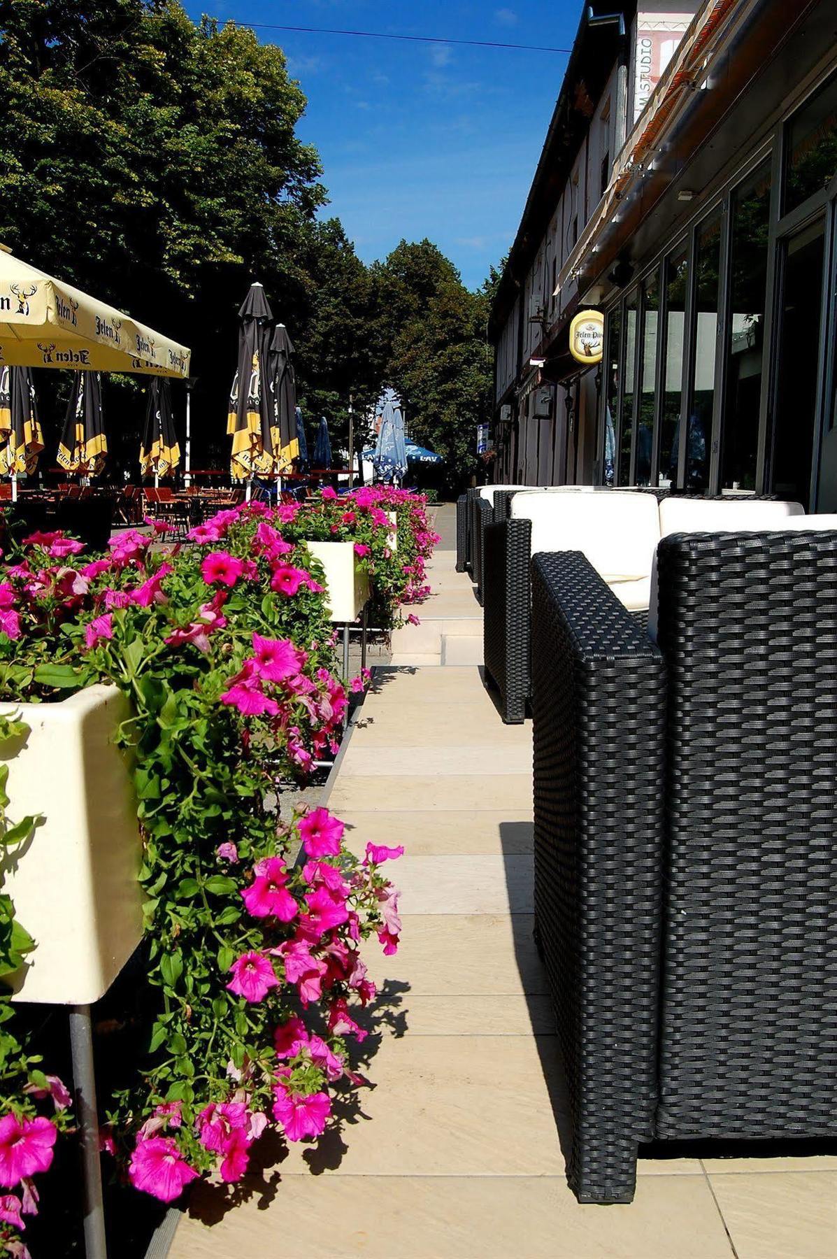 Hotel Tiski Cvet Novi Bečej エクステリア 写真